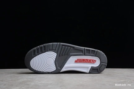 “COOL GREY” JORDAN AIR 3 1017